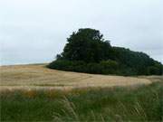 Usedomer Achterwasserlandschaft zwischen Dewichow am Krienker See und Balm am Balmer See.