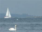 Paradies fr Wassersportler: Der Greifswalder Bodden zwischen Rgen, Usedom und der Insel Ruden.