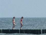 Ostsee-Urlaub: Buhnen am Sandstrand des Bernsteinbades Loddin.