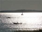 Arrangement auf dem Achterwasser: Wassersport auf der Insel Usedom.