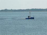 Heimkehr in den Hafen Loddin: Fischerboot auf dem Achterwasser.