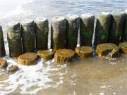 Buhne am Ostseestrand des Kaiserbades Bansin auf Usedom: Diese Strmungshindernisse sollen den Sandabtrag mindern.