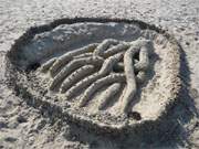 Phantasievoll: Sandskulptur eines Oktopus' am Ostseestrand des Kaiserbades Bansin.