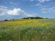 Loddiner Hft: Sommerferien auf Usedom.