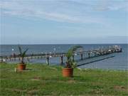 Palmen auf Usedom — der Klimawandel: Die Seebrcke des Ostseebades Koserow.