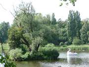 Mit dem Tretboot um die Schwaneninsel des Klpinsees: Urlaub im Bernsteinbad Loddin.