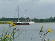 Naturparadies Halbinsel Gnitz auf Usedom: Segelboote auf dem Achterwasser nahe Ltow.