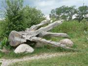 Mwenort auf der Halbinsel Gnitz: Eine Holzskulptur liegt am Sandstrand zum Achterwasser.