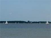 Der Greifswalder Bodden: Segel leuchten ber die Dnische Wiek.