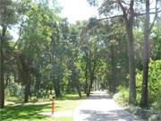 Strandpromenade von Karlshagen: Die neu gestaltete Promenade fhrt durch eine schne Landschaft.