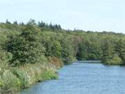 Das Peenetal ist eine in Deutschland einzigartige naturbelassene und unverbaute Flusslandschaft.