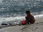 Usedomer Ostseestrand: Ein kleiner Junge ist ins Buddeln im Strandsand vertieft.