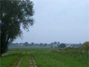 Sptsommer auf der Insel Usedom: Gummlin am Oderhaff im Nebel des frhen Morgens.