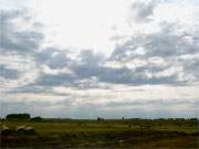 Sptsommertag auf Usedom: Etwas trberes Wetter im Haffland zwischen Stolpe und Dargen.