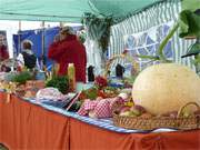 Erntefest 2009 im Bernsteinbad Loddin: Ein Krbis dekoriert einen Verkaufsstand des Heimatvereines.