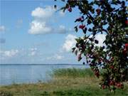 Sptsommer am Achterwasser: Im Usedomer Hinterland sind die Ksten zu den Boddengewssern allgegenwrtig.