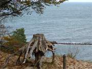 Blick ber die Ostsee: Aussichtspunkt auf dem Streckelsberg an der Ostseekste Usedoms.