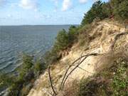 An der Kliffkante: Der Loddiner Hftberg fllt zum Achterwasser hin steil ab.