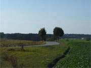 Herbstlandschaft auf der Insel Usedom: Die Straße nach Neverow am Flugplatz Heringsdorf.