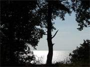 Blick aufs Stettiner Haff: Die Ferienhaussiedlung an der Steilkste zum Stettiner Haff.