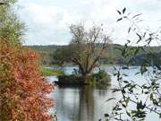 Prächtige Laubfärbung am Kölpinsee: Der Herbst ist auf Usedom angekommen.