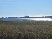 Herbst am Peenestrom: Usedomer Kstenlandschaft im Sonnenschein.