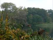 Herbstfrbung auf der Insel Usedom: Der Klpinsee im Seebad Loddin.