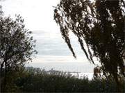 Blick bers Achterwasser: Vor Bau des Straendammes trennten die Twelen die Grmitz von Usedom.