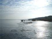 Herbst auf Usedom: Wie ein Wattenmeer erscheint der Ostseestrand zwischen Karlshagen und Peenemnde.