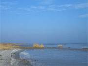 Usedomer Ostseekste: Zum Greifswalder Bodden hin endet der Sandstrand.