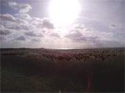 Das Achterwasser zwischen den Bernsteinbdern Loddin und Koserow im Herbst.