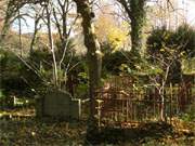 Herbstfarben im Usedomer Hinterland: Der Benzer Friedhof im November.