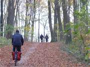 Kurz vor Klpinsee: Der Kstenradweg zwischen den Bernsteinbdern Koserow und Loddin.