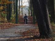 Kstenradweg: Entlang fast der gesamten Ostseekste Usedoms erstreckt sich der Radweg.