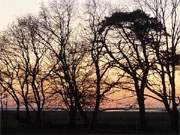 Zauberhafte Achterwasserkste der Insel Usedom: Sonnenuntergang bei Stagnie.