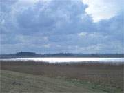 Die winterlich karge Landschaft am Peenestrom zwischen Karlshagen und Peenemnde ist sehr reizvoll.