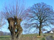 Usedomer Hinterland: Gothen liegt am Gothensee und im Hinterland der Kaiserbder.