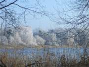 Winterurlaub auf Usedom: Der winterlich geschmckte Klpinsee.