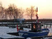 Eisdecke: Das Achterwasser an der Ostseeinsel Usedom ist zugefroren.