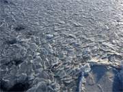 Schuppenmuster: Unzhlige Eisschollen beginnen sich an der Seebrcke von Heringsdorf zusammenzuschieben.