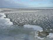 Ostseestrand von Koserow: Eisschollen schwappen im gerade aufgetauten Ostseewasser.