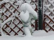 Unterm Kaffeewrmer: Skulptur im Garten des Hauses Steinbock.