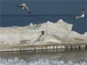 Winterurlaub an der Ostsee: Beeindruckende Eisgebilde zieren die Buhnen am Strand von Klpinsee.