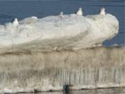 Zwischen Klpinsee und Stubbenfelde auf Usedom: Eisformationen auf Buhne.