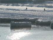 Ostseebad Zinnowitz auf Usedom: Im wieder offenen Wasser der Ostsee treiben Eisschollen.