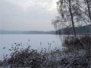 Verhangener Winterhimmel: Schneefall am Usedomer Schmollensee.