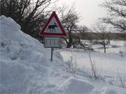 Parkordnung für Elche: Das Loddiner Höft nach wochenlangem Schneefall.