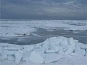 Immer noch Eisschollen bis zum Horizont: Am Ostseestrand des Bernsteinbades Koserow.