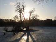 Der Klpinsee taut: Abendsonne hinter der idyllischen Schwaneninsel im See.