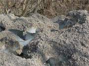 Unter dem Strandsand: Die ausgedehnten Eispackungen am Strand von Kamminke sind an vielen Stellen mit Sand bedeckt.